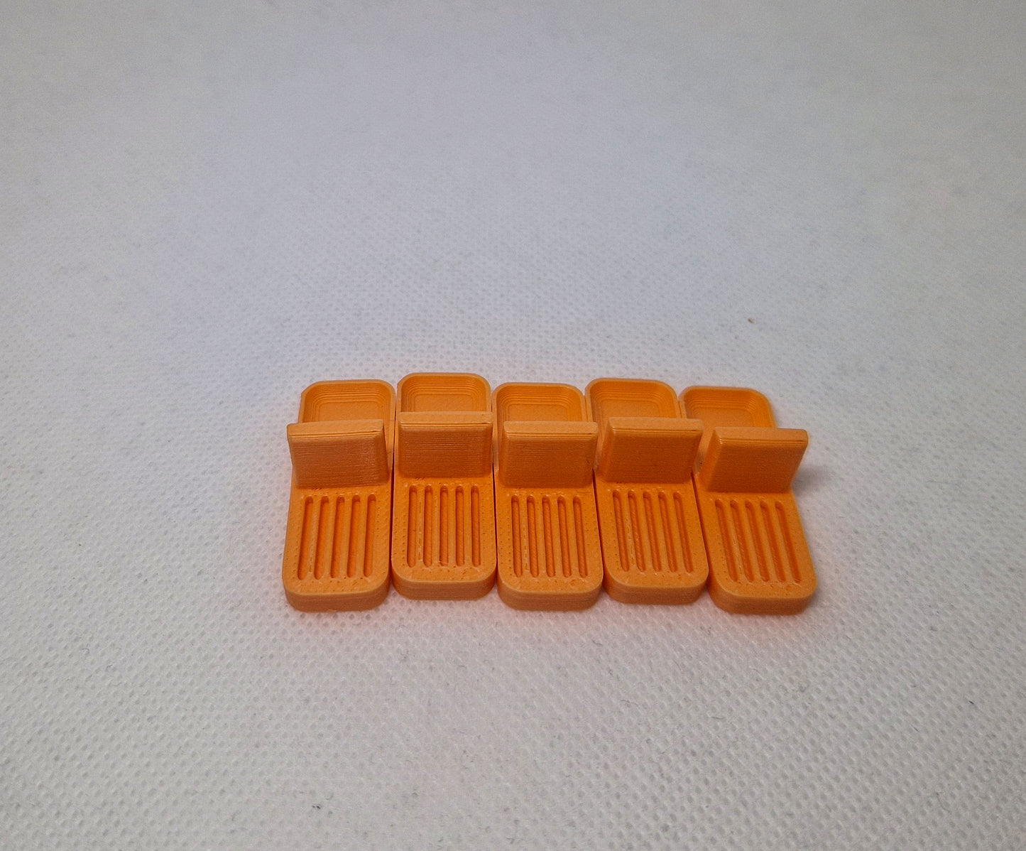 Ant Feeding Dishes – Pack of 5