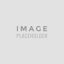 Lasius niger Queen Starter Set